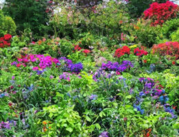 5 grunde til at vælge en plantesæk fremfor traditionel have