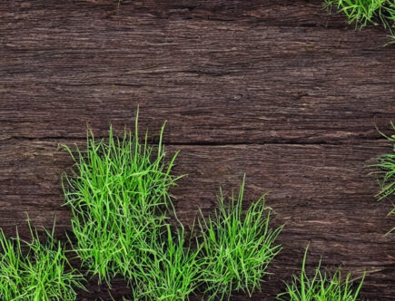 Den ultimative guide til at vælge den rigtige højbedsramme til din have