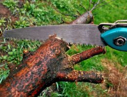 Bordrundsavens historie: Fra håndsav til højteknologi