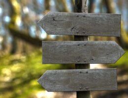 Træpladens mange anvendelsesmuligheder i boligindretning