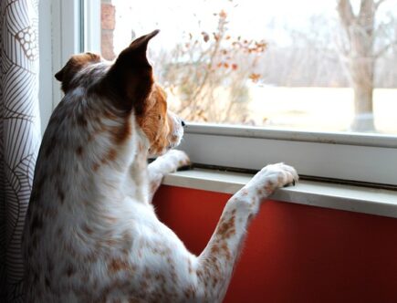 Sådan vælger du de perfekte up-down gardiner til dit vindue