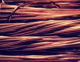 Fra genbrug til genialitet: Sådan genanvender du hverdagsobjekter som urtepotteskjulere