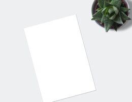 Sættekasse-eksperter deler deres bedste tips til effektivt layout-design