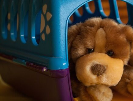 Klickfix Hundekurv - Det ultimative valg for en praktisk og stilfuld hunde transport