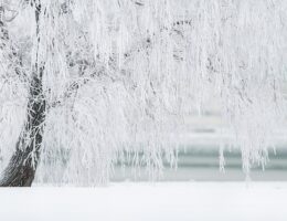 Sådan vedligeholder du din fryser korrekt