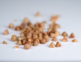 Aronia - Det nye superfood på markedet