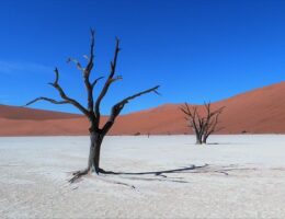 Lerkrukken der giver din indretning et rustikt og autentisk touch