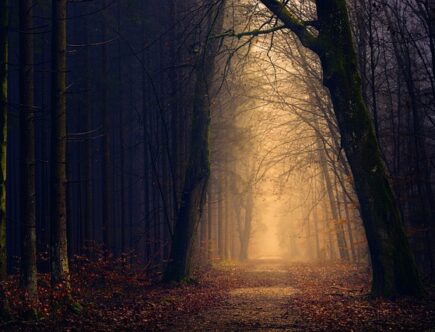 Skab en afslappende og rolig atmosfære med Broste Copenhagen's rispapirlampe