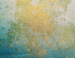 Tørbeton vs. traditionel beton: Hvad er forskellen, og hvorfor vælge tørbeton?