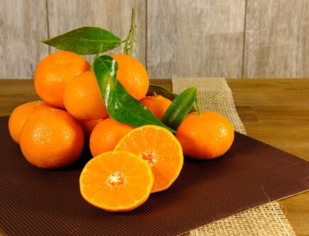 Gør som professionelle bartendere: Brug Blomus citronpresser