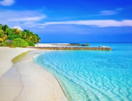 Få din have til at blomstre: 7 tips til at gøre den forårsklar