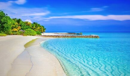 Få din have til at blomstre: 7 tips til at gøre den forårsklar