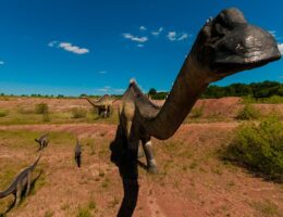 Dinosaurlegetøj til den eventyrlystne - udforsk verden med en T-Rex ved din side