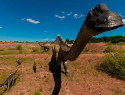 Dinosaurlegetøj til den eventyrlystne - udforsk verden med en T-Rex ved din side