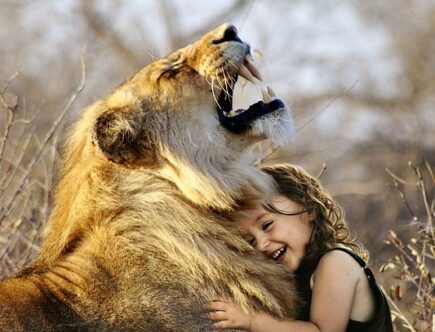 Sådan skaber du en hyggelig atmosfære med hyldeknægte og lyskæder