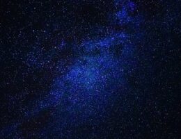 Laforma's rivekollektion: Skab et unikt og personligt rum