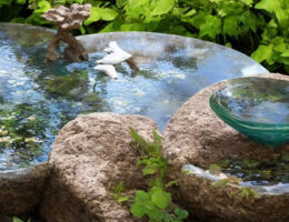 Gør din have mere livlig med Eva Solo's Fuglebad - et must-have til enhver haveentusiast