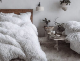 Hvilken er den bedste gåsedunsdyne?