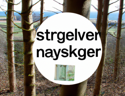 Sådan låner du penge ansvarligt