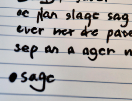 Spar penge og forlæng levetiden på dit tag med en effektiv tagrensning