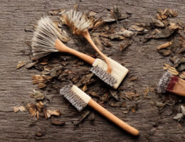 Tørbørstning: En overkommelig og naturlig måde at forbedre dit helbred